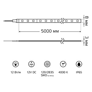 LED лента Gauss Basic BT071