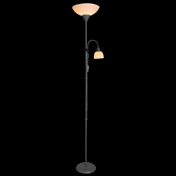 Торшер Arte Lamp DUETTO A9569PN-2SI