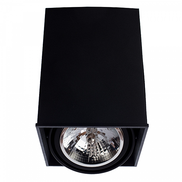 Светильник потолочный Arte Lamp A5936PL-1BK