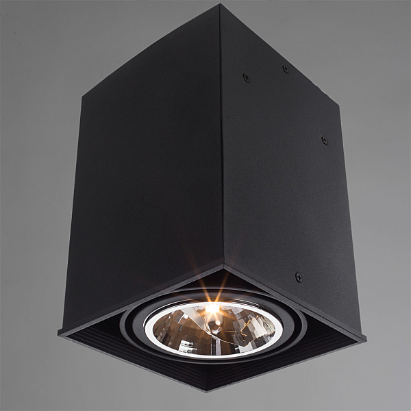 Светильник потолочный Arte Lamp A5936PL-1BK