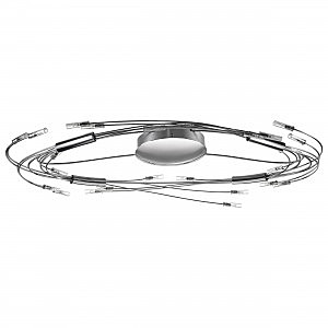 Потолочная люстра Lightstar Ovale 784244