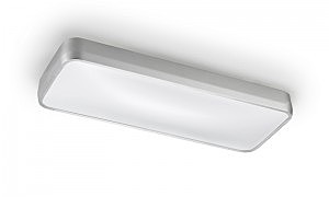 Светильник потолочный Leds C4 Ras 15-4686-S2-M1