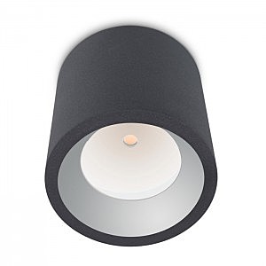Потолочный LED светильник Leds C4 Cosmos 15-9790-Z5-CL