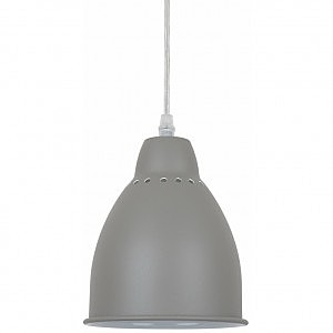 Светильник подвесной Arte Lamp Braccio A2054SP-1GY