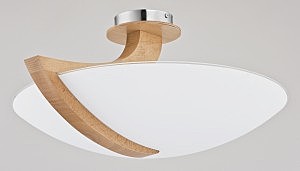 Светильник потолочный Alfa Calmi 90058