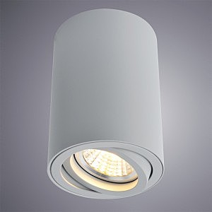Накладной светильник Arte Lamp Sentry A1560PL-1GY