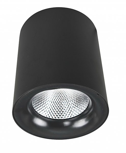 Накладной светильник Arte Lamp Facile A5112PL-1BK