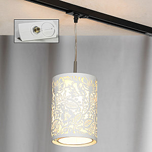 Трековый светильник Lussole Vetere LSF-2306-01-TAW