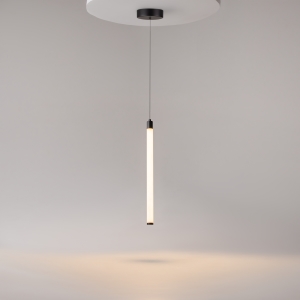 Светильник подвесной Maytoni Ray P021PL-L10B