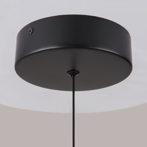 Светильник подвесной Maytoni Ray P021PL-L10B