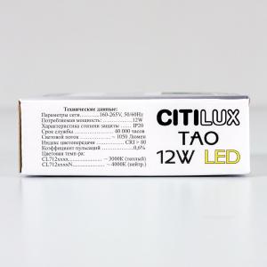 Потолочный светодиодный светильник Citilux Тао CL712X122N