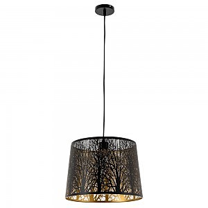 Светильник подвесной Arte Lamp Celesta A2769SP-1BK