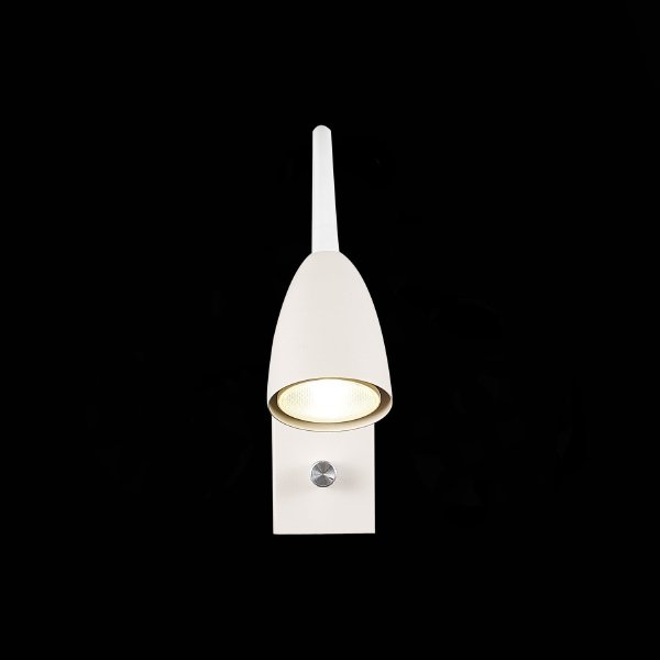 Настенный светильник ST Luce Amio SL1014.501.01