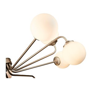 Потолочная люстра ST Luce Redjino SLE106203-12