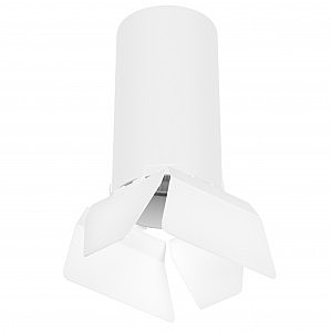 Накладной светильник Lightstar Rullo R6486486