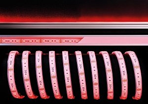 <span>LED лента Deko-Light 840256 5000мм  IP67</span>