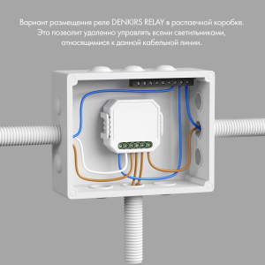 Wi-Fi реле Denkirs Rl1000 RL1001-SM