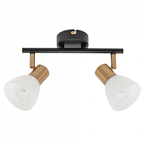 Светильник спот Arte Lamp Falena A3117PL-2BK