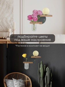 Настенный светильник Мелодия Света Scandi WA9878-1 GR 000059547