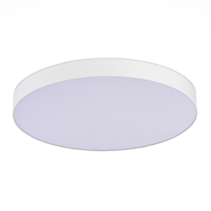 Светильник потолочный ST Luce ST606.542.96