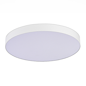 Светильник потолочный ST Luce ST606.542.96