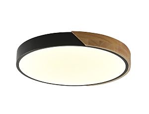 Светильник потолочный Zortes Alberro ZRS.01287.24