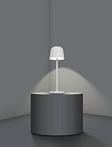 Настольная лампа Eglo Mannera 900458