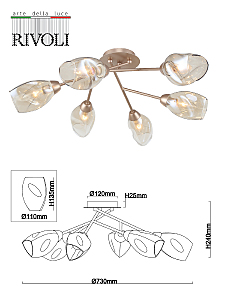 Потолочная люстра Rivoli Carrie 3124-306