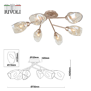 Потолочная люстра Rivoli Carrie 3124-306