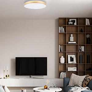 Светильник потолочный Loft It Flims 10228/A