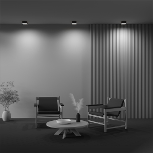 Светильник потолочный Maytoni Zon C032CL-12W3K-SQ-B