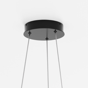 Подвесная люстра Maytoni Rim MOD058PL-L54BK