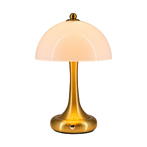 Настольная лампа L'Arte Luce Luxury Tecazo L64931.70