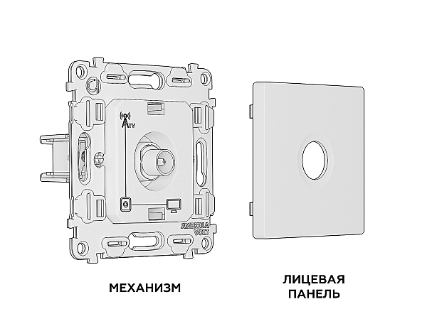 Розетка Ambrella Volt ALFA MA613010