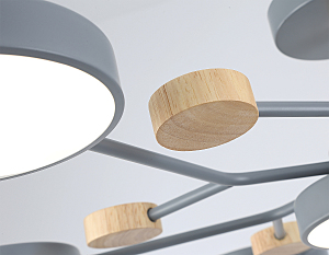 Потолочная люстра Ambrella LineTech FL4865