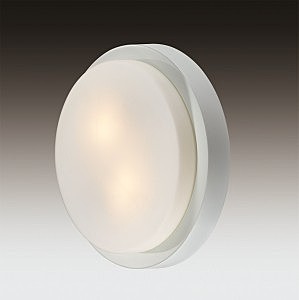Настенно потолочный светильник Odeon Light Holger 2745/2C
